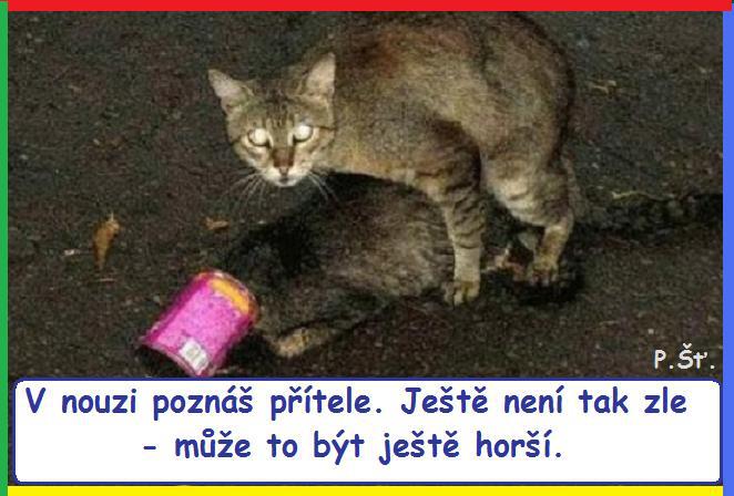 Vtip Nerařazeny