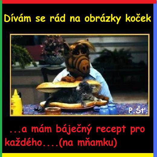 Vtip Nerařazeny