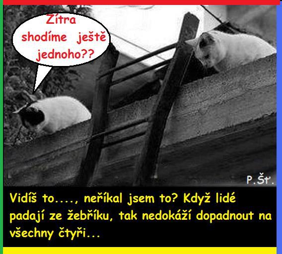 Vtip Nerařazeny