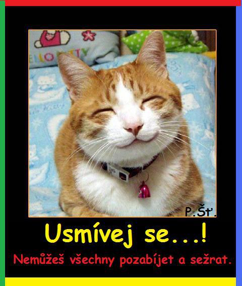 Vtip Nerařazeny