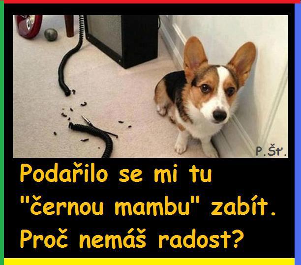 Vtip Nerařazeny