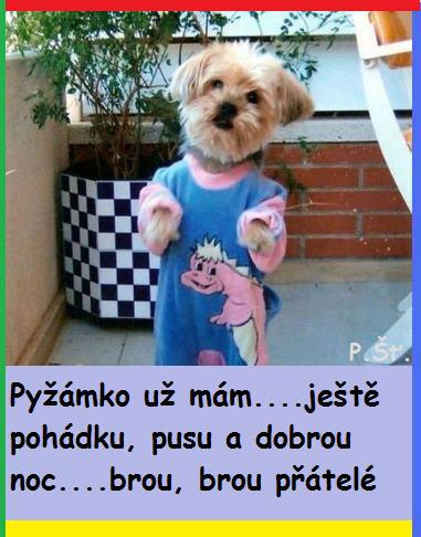 Vtip Nerařazeny