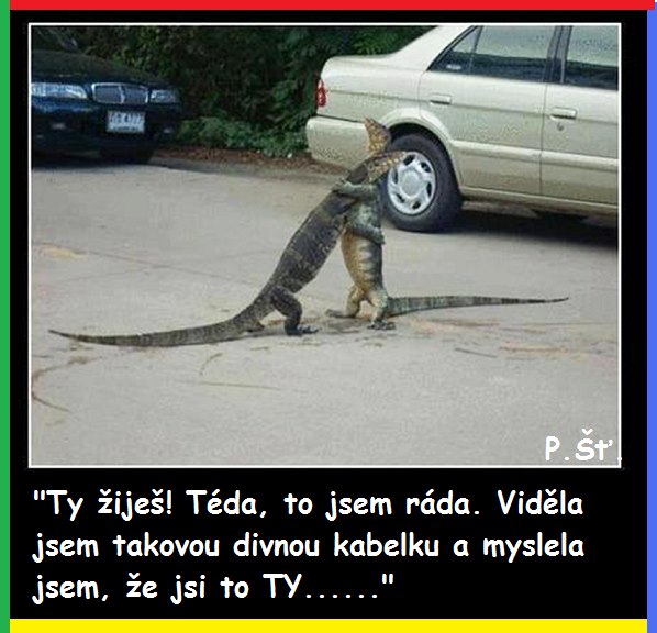 Vtip Nerařazeny