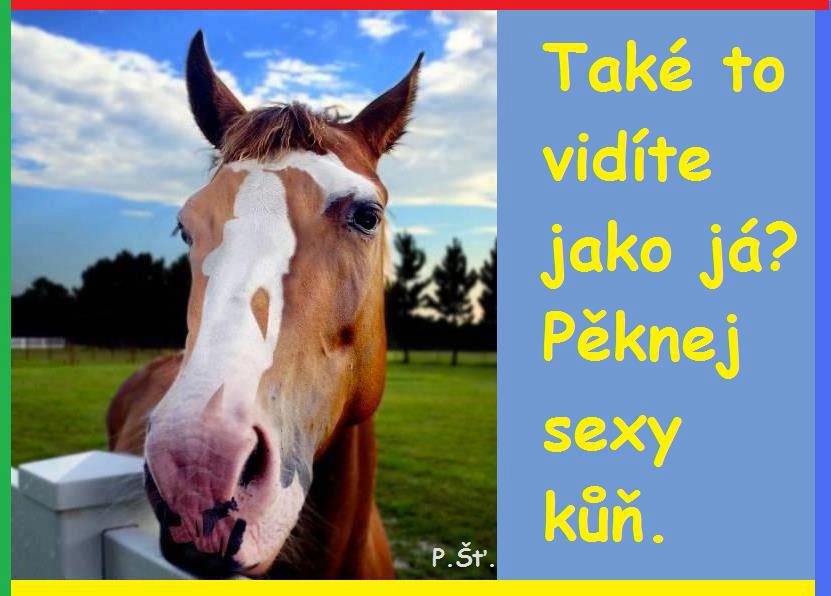 Vtip Nerařazeny