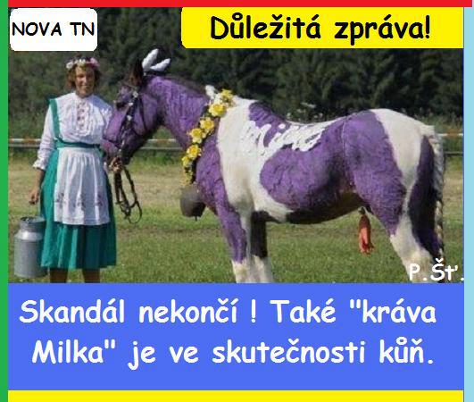 Vtip Nerařazeny