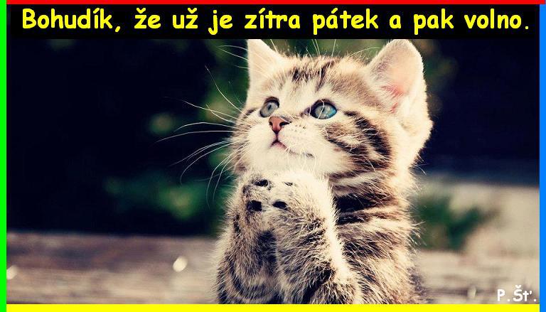 Vtip Nerařazeny