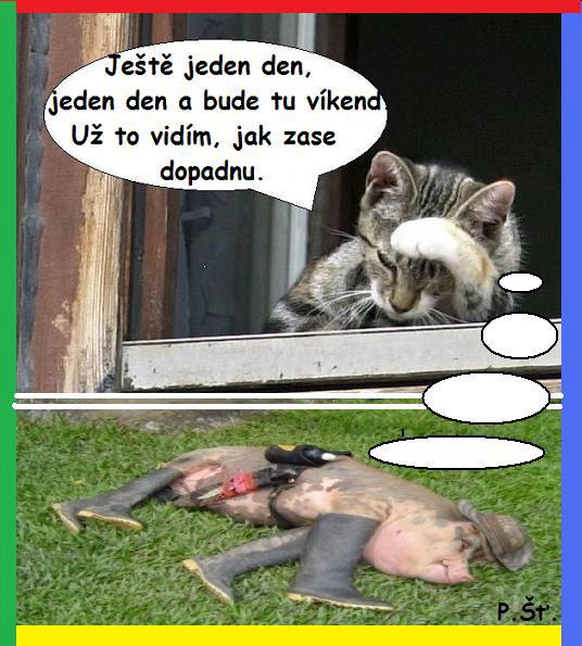 Vtip Nerařazeny