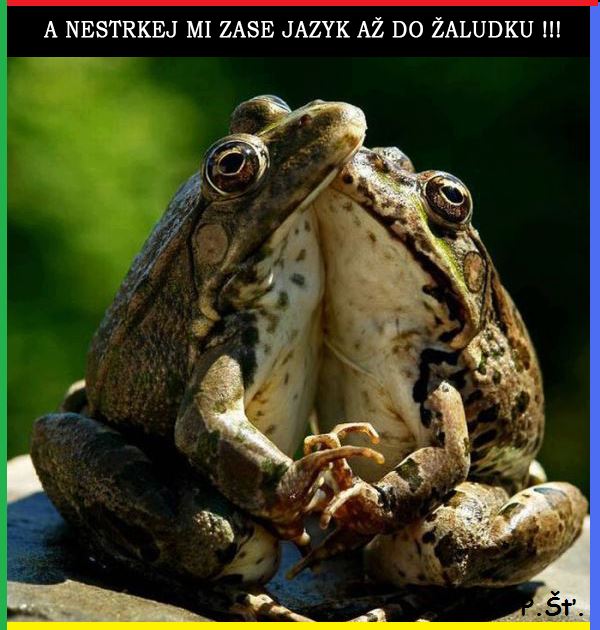 Vtip Nerařazeny