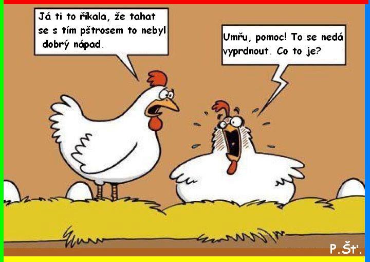 Vtip Nerařazeny