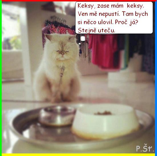 Vtip Nerařazeny