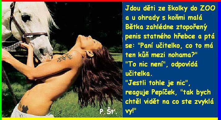 Vtip Nerařazeny