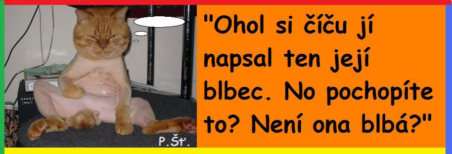 Vtip Nerařazeny