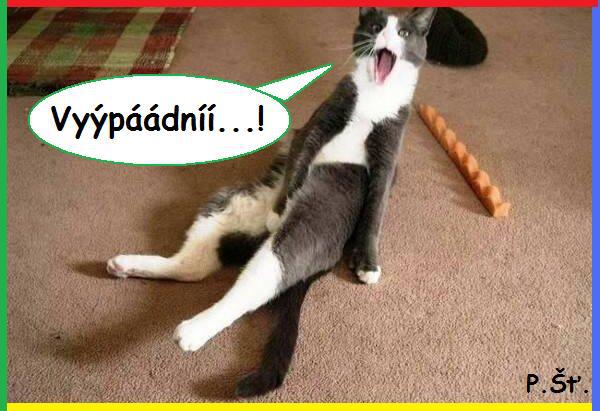 Vtip Nerařazeny