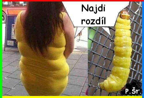 Vtip Nerařazeny