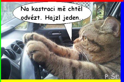 Vtip Nerařazeny