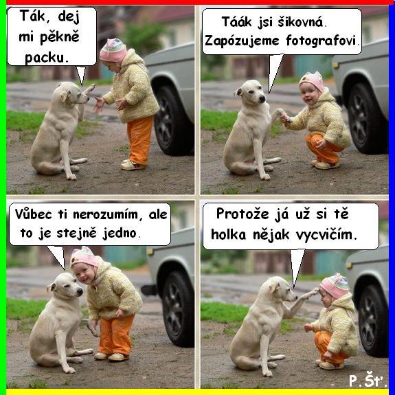 Vtip Nerařazeny
