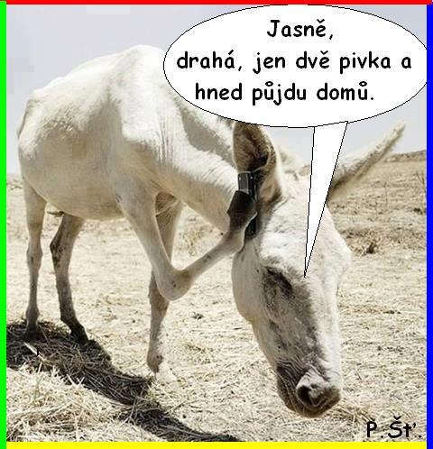 Vtip Nerařazeny