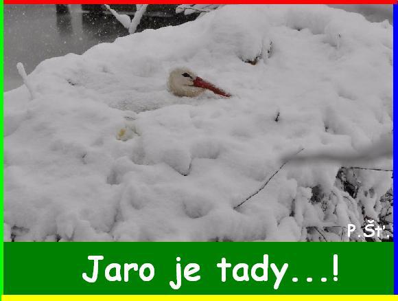 Vtip Nerařazeny