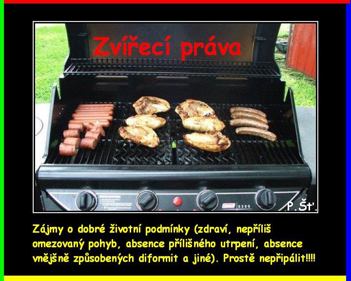 Vtip Nerařazeny