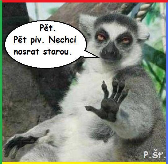 Vtip Nerařazeny