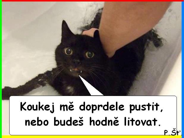 Vtip Nerařazeny