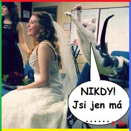 Vtip Nerařazeny