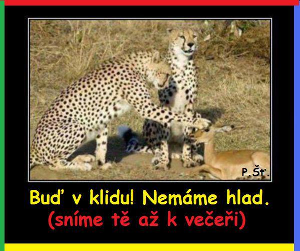 Vtip Nerařazeny