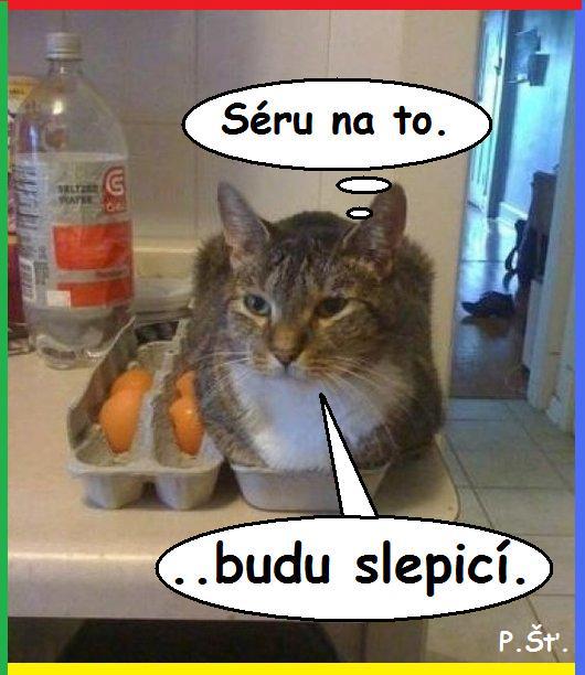 Vtip Nerařazeny