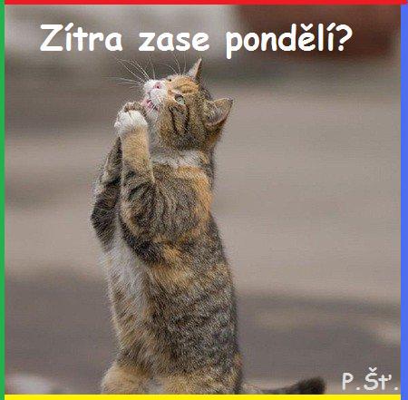 Vtip Nerařazeny