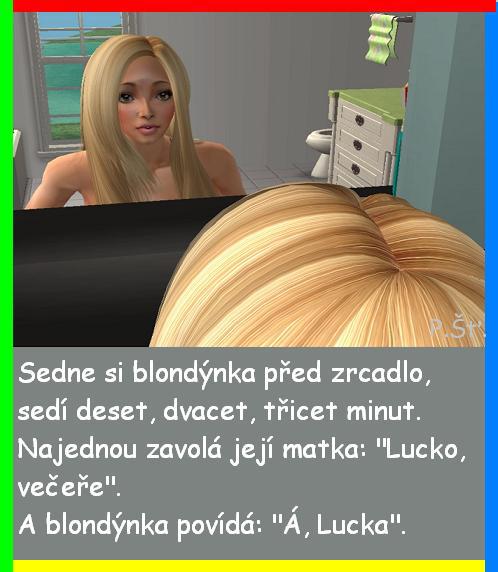 Vtip Nerařazeny