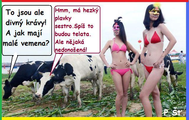 Vtip Nerařazeny