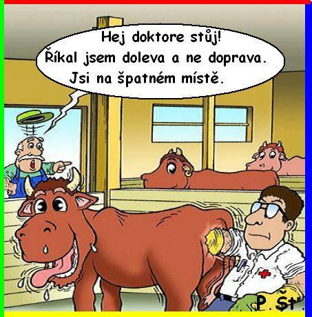Vtip Nerařazeny