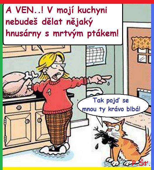 Vtip Nerařazeny