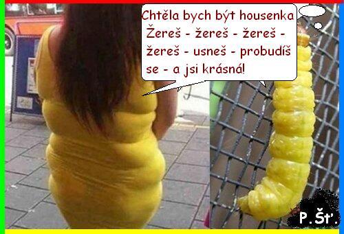 Vtip Nerařazeny