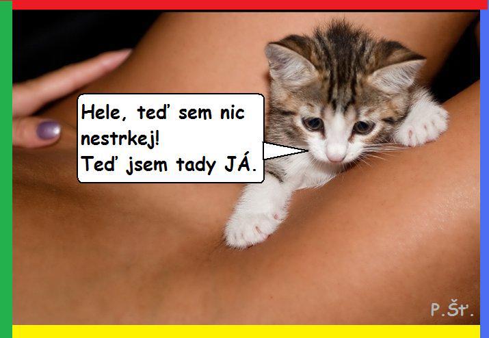 Vtip Nerařazeny