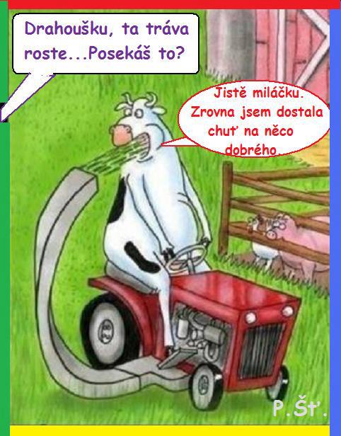Vtip Nerařazeny