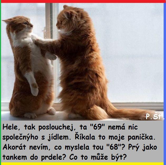 Vtip Nerařazeny