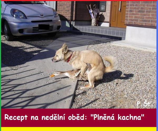 Vtip Nerařazeny