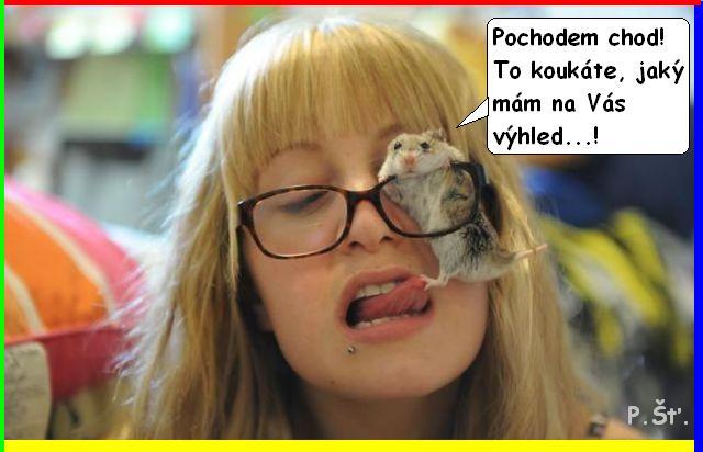 Vtip Nerařazeny