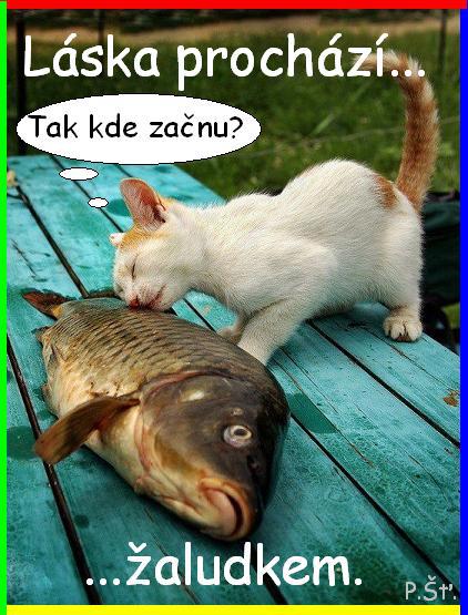 Vtip Nerařazeny