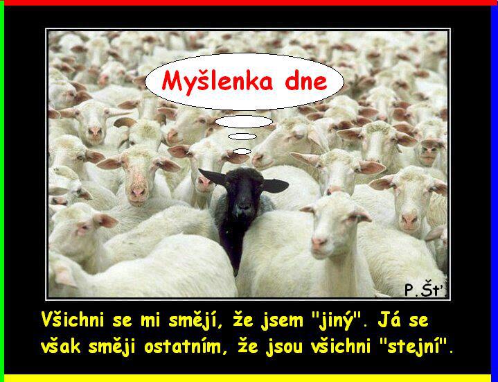 Vtip Nerařazeny