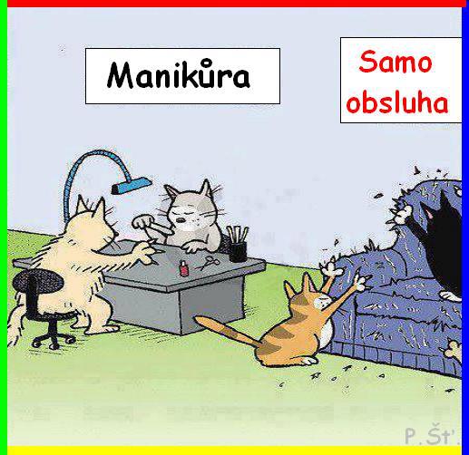 Vtip Nerařazeny