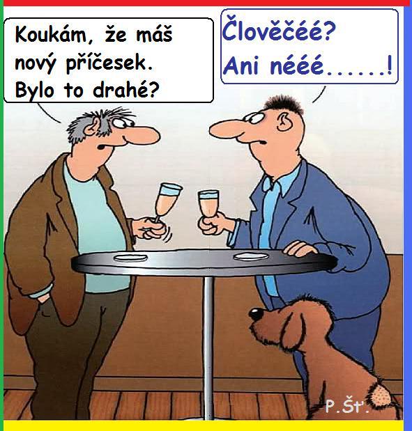Vtip Nerařazeny