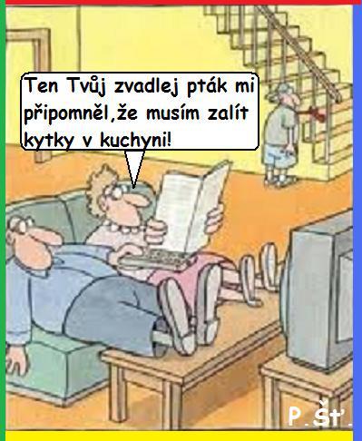 Vtip Nerařazeny