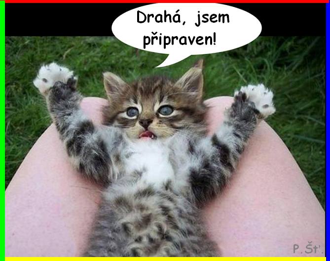 Vtip Nerařazeny