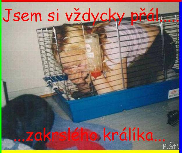 Vtip Nerařazeny