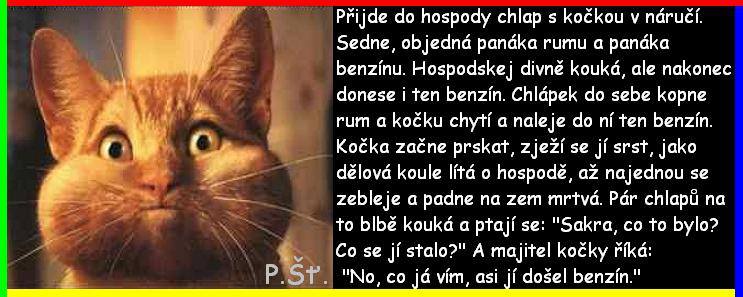 Vtip Nerařazeny
