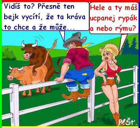 Vtip Nerařazeny