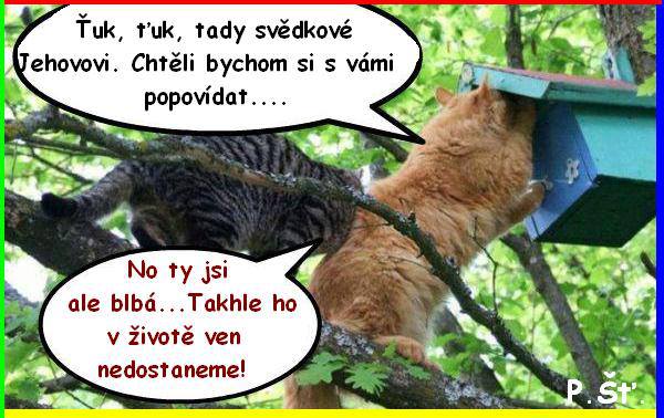 Vtip Nerařazeny