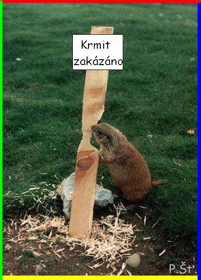 Vtip Nerařazeny